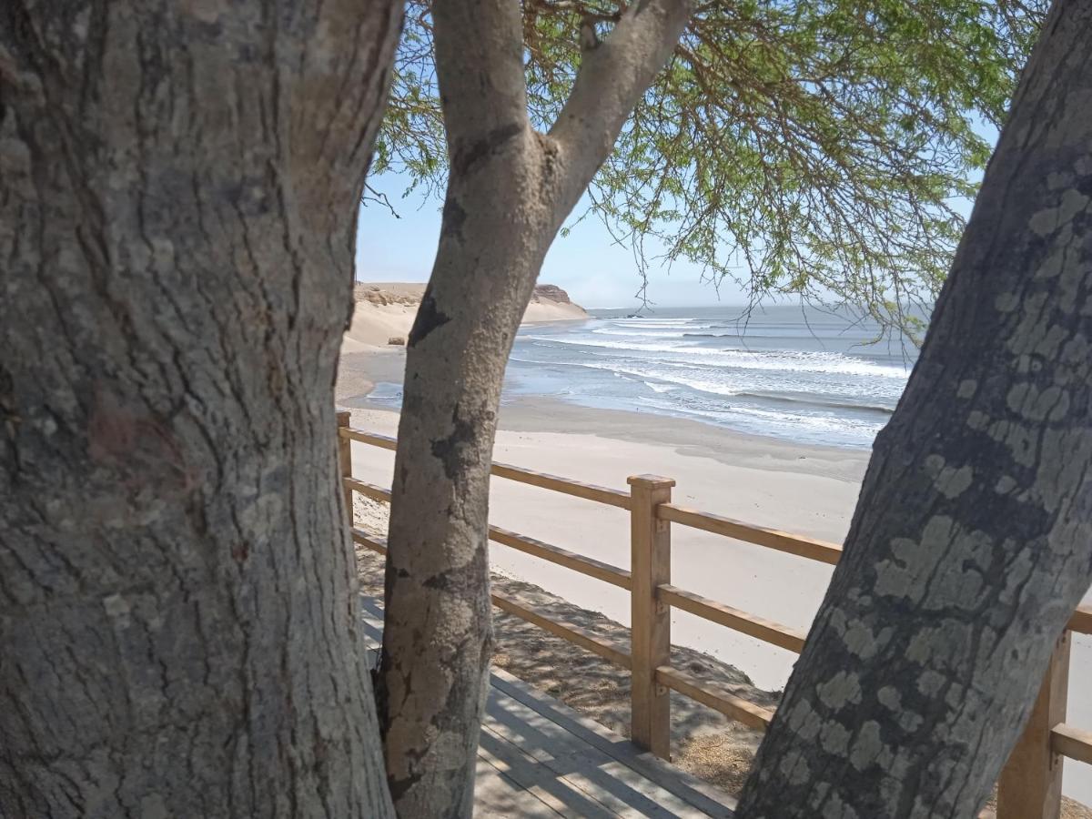 Готель Chicama Surf Camp Малабріго Екстер'єр фото
